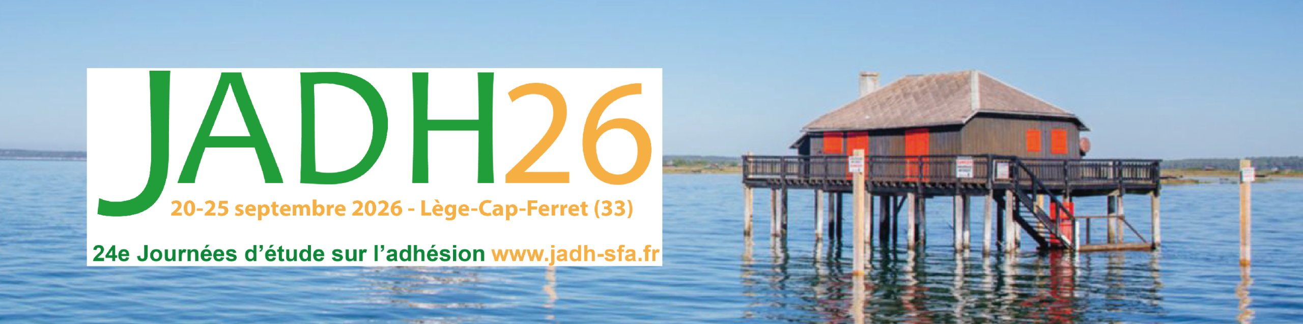JADH2026_Ban_photo